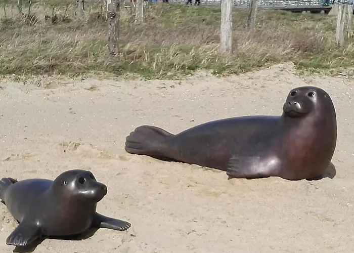 Appartamento Wattperle *